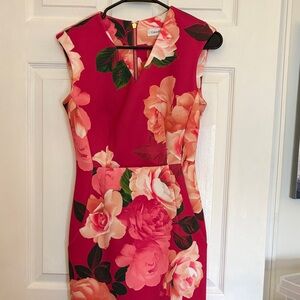 Calvin Klein Rose Print Midi Dress - Red and Pink